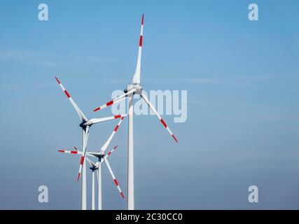 Turbine eoliche, Grevenbroich, Renania Settentrionale-Vestfalia, Germania Foto Stock