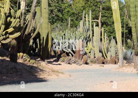 Parque de la Paloma, Benalmádena Costa, Málaga, Spagna. Foto Stock