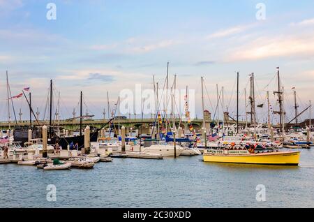 La barca Haunted Harbour Tours è ormeggiata con altre barche presso il porticciolo municipale di St. Augustine, 10 aprile 2015, a St. Augustine, Florida. Foto Stock