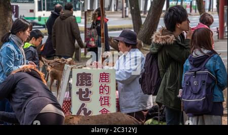 Vecchia signora giapponese che vende biscotti di cervo ai turisti a Nara Park, Giappone Foto Stock