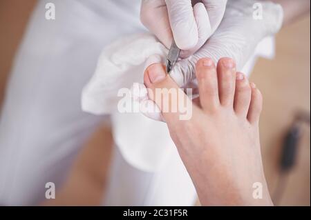 Procedura medica professionale di pedicure primo piano utilizzando strumento tagliaunghie. Paziente in visita chiropodista podiatrist. Trattamento dei piedi nel salone SPA Foto Stock