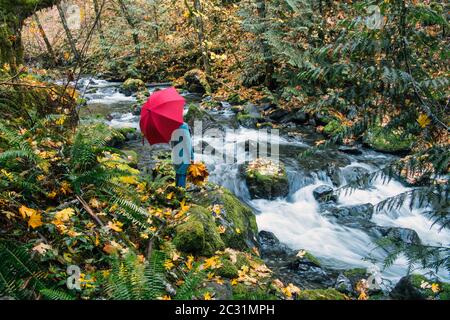 Vista della donna sulla roccia con bouquet di foglie di caduta, Rocky Brook Falls, Brinnon, Washington, USA Foto Stock