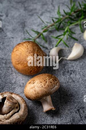 Ingredienti crudi. Funghi, rosmarino e spicchio d'aglio Foto Stock