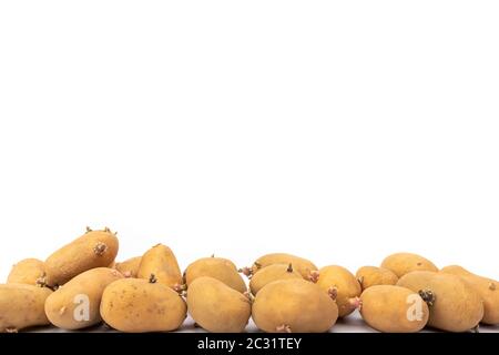 set di piantine di patate germogliate pronte per la piantagione - su sfondo bianco in studio Foto Stock