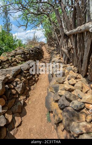Percorso in tribù di villaggio murato Konso, Etiopia Foto Stock