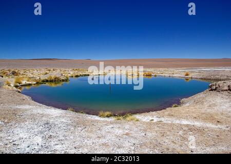 Laghetto al Salar de Arizaro alla Puna de Atacama, Argentina. Il Salar di Arazaro è una grande distesa di sale delle Ande, nell'Argentina a nord-occidentale Foto Stock