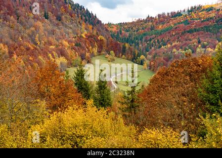 Alberi in autunno i colori con il percorso di avvolgimento 531 nel quartiere Revuca di Banska Bystrica Regione in Slovacchia Foto Stock