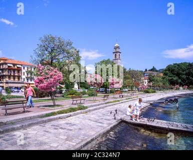 Riva del Lago maggiore, Pallanza, Provincia di Verbano-Cusio-Ossola, Regione Piemonte, Italia Foto Stock