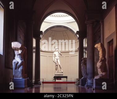 La 'Statue of David' di Michelangelo, Accademia di Belle Arti, Firenze (Firenze), Regione Toscana, Italia Foto Stock