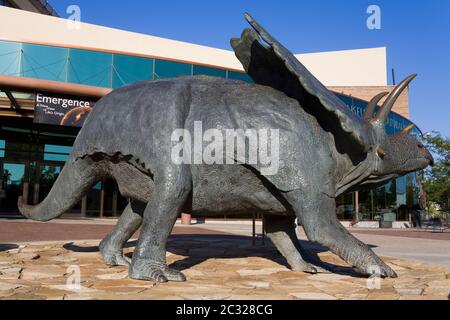 Pentaceratops al Museo di Storia Naturale del New Mexico, Albuquerque, nuovo Messico, Stati Uniti Foto Stock