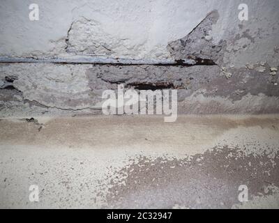 Cemento armato resistenza barre (rebar) danneggiati da infiltrazioni di acqua nei muri Foto Stock