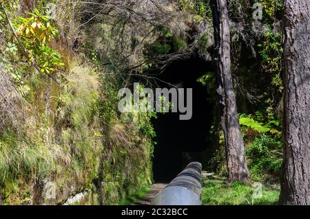 L'uscita di 800m lungo tunnel Rabacal sul levada a piedi il 25 fontane e cascate di Risco ("Levada 25 das Fontes e Cascada da Risco') Foto Stock