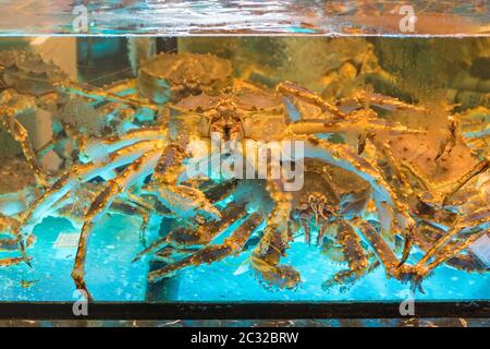 Molti grandi granchio vivi nel serbatoio di acqua Foto Stock