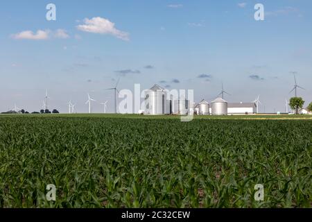 Turbina eolica su terreni agricoli, Indiana, USA, di James D Coppinger/Dembinsky Photo Assoc Foto Stock
