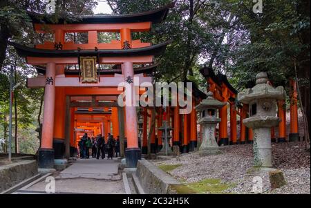 Turista alle porte torii del santuario di Fushimi Inari Taisha shinto, Kyoto, Giappone Foto Stock