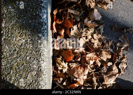 Il fogliame di autunno che giace accanto al marciapiede. Autunnali e concetto di caduta. Foto Stock