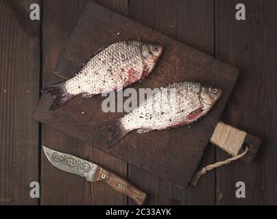 Fresco pesce carassio giace su un marrone tagliere in legno, tavolo in legno da schede, vista dall'alto Foto Stock