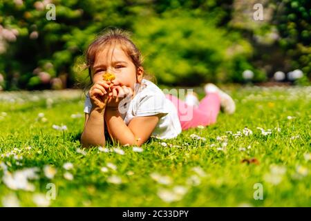 Giovane ragazza bianca caucasica che puzzava giallo Buttercup fiore su prato, giacente su campo con molti giallo Buttercup e bianco daisy fiori, giorno d'estate Foto Stock