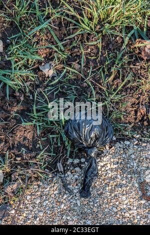 Sacchetto di scarto del cane gettato via nel mezzo della natura Foto Stock