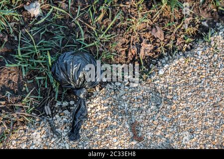 Sacchetto di scarto del cane gettato via nel mezzo della natura Foto Stock