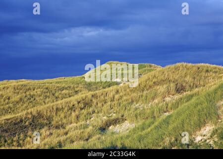 Dunescape alla prima luce del mattino sulla costa danese del Mare del Nord Foto Stock