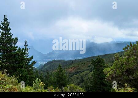 Portogallo, Isole Canarie a Madeira, Santana - Parque Florestal das Queimadas Foto Stock