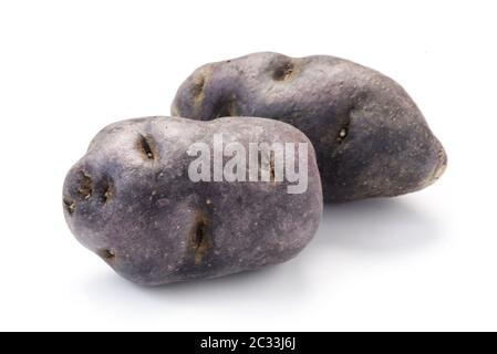 Patate Vitelotte isolato su bianco Foto Stock