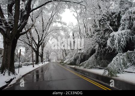 Inverno a Washington DC Foto Stock