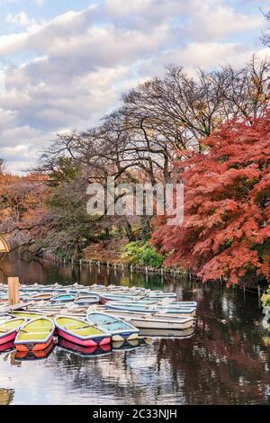 Una collezione di barche galleggianti in stagno di Kichijoji Inokashira Park Foto Stock