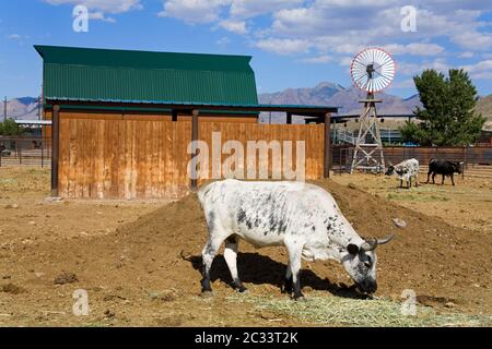 Farm & Ranch Museum, Las Cruces, New Mexico, USA Foto Stock