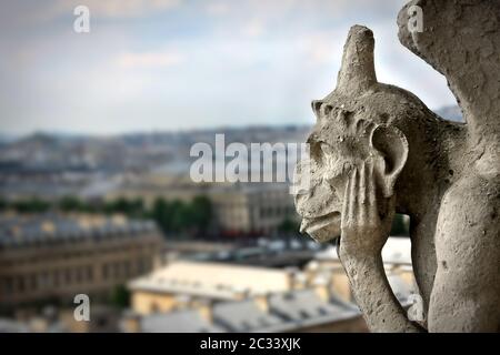 La Chimera sulla Cattedrale di Notre Dame Foto Stock