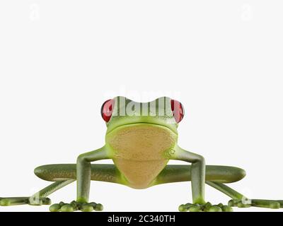 Vista frontale a forma di rana verde su sfondo bianco rendering 3d Foto Stock