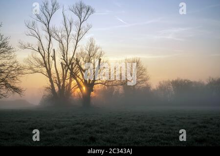 Sonnenaufgang im März über den Streuobstwiesen im Kahlgrund. Foto Stock