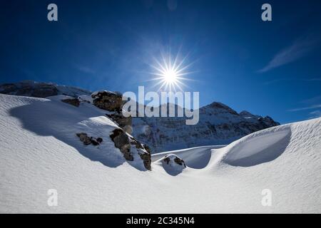 Splendido paesaggio invernale con spruces coperti di neve. Giorno frosty, scena wintry esotica. Svizzera, Europa. Inverno natura carta da parati Foto Stock