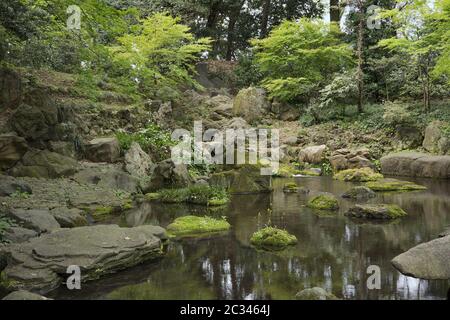 Fiori in pietra ricoperti di muschio nello stagno della casa da tè nel parco giardino rikugien in Bunkyo distrio Foto Stock