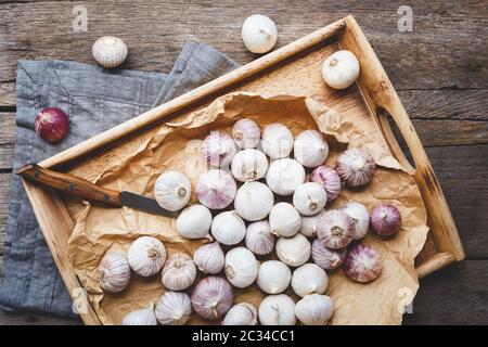 Solo Garlics- spicchi d'aglio singoli Foto Stock