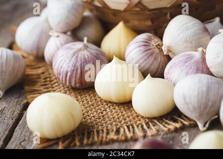 Solo Garlics- spicchi d'aglio singoli Foto Stock