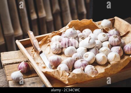 Solo Garlics- spicchi d'aglio singoli Foto Stock