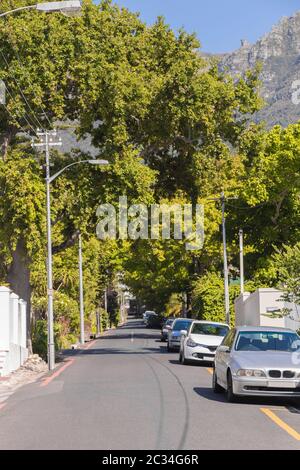 Street nella città di Claremont, Città del Capo, Sud Africa. Tempo soleggiato in estate. Foto Stock