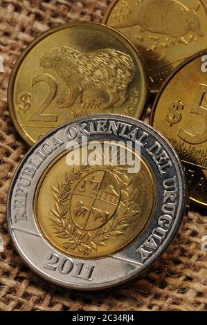 Primo piano della valuta uruguaiana Foto Stock