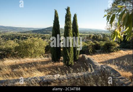 Tre cipressi in Saint-Saturnin-les-Apt Muehle in Provenza, Francia Foto Stock