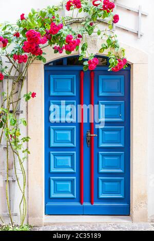 Porta frontale blu a doppia foglia a strisce rosse, circondata da un tendrone fiorito rosso. Foto Stock