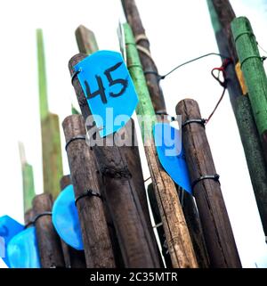 Buojs e Nets Foto Stock