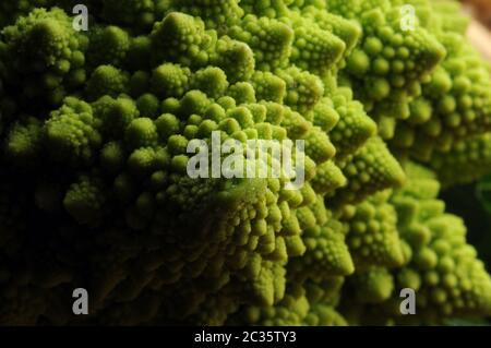 Primo piano di un fresco romanesco broccoli Foto Stock