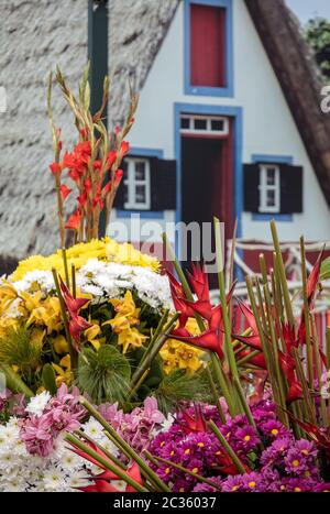 Una composizione floreale di fiori tropicali e una casa tradizionale da Santana in background. Madeira, Portogallo Foto Stock