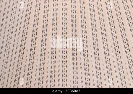 Schede perforate. Close-up di un mucchio di inutilizzati computer vintage schede perforate isolato su uno sfondo bianco. La tecnologia negli anni sessanta e settanta per dat Foto Stock