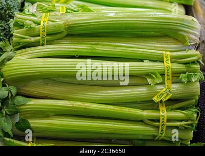 Gambi di sedano in vendita in un mercato biologico Foto Stock