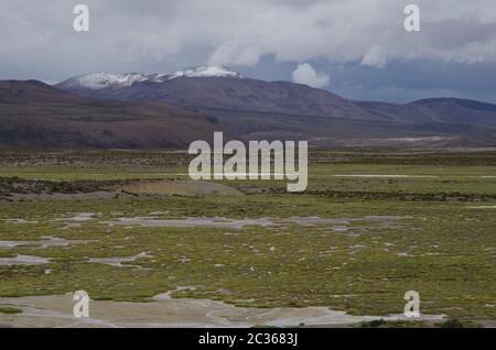 Laghi di Cotacotani nel Parco Nazionale di Lauca. Regione di Arica y Parinacota. Cile. Foto Stock