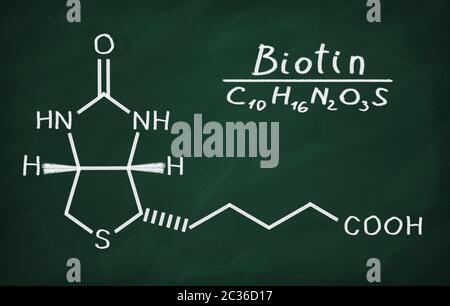 Il modello strutturale della vitamina B6 (biotina) sulla lavagna. Foto Stock