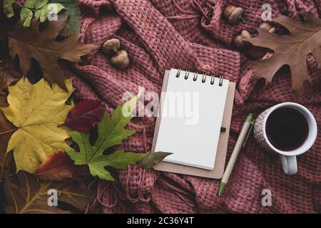 Composizione d'autunno. Tazza di tae, blanket, notebook con penna, autunno foglie essiccate e acorn. Appartamento laico, vista dall'alto, spazio di copia Foto Stock
